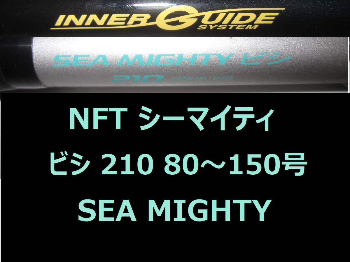 希少 レア NFT パワーループ アドバンス シーマイティ ビシ 210 インナーガイド INNER GUIDE POWER LOOP SEA MIGHTYの画像1