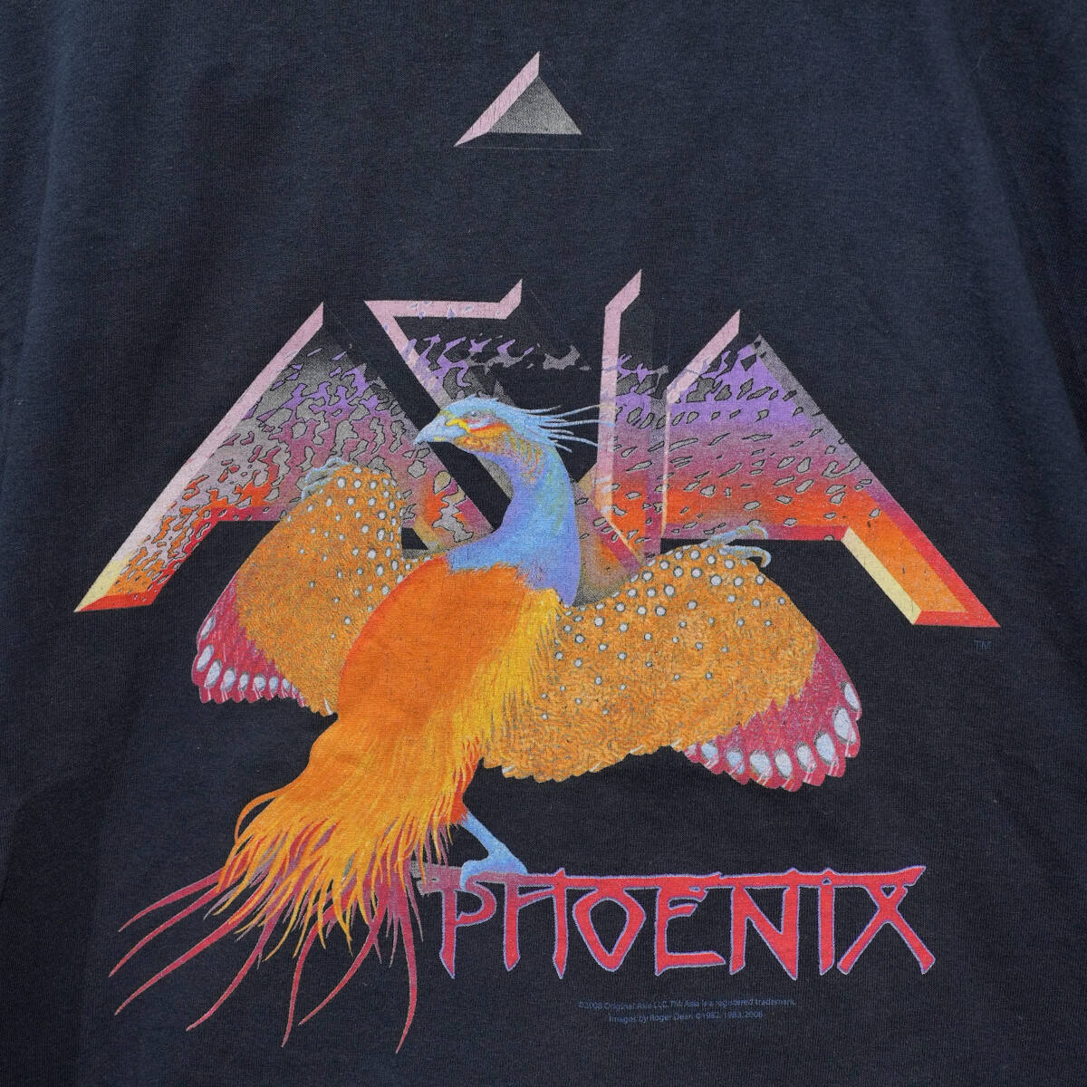 希少 激レア 一点物 ヴィンテージ フェニックス 2000年代 2008年コピーライト ツアーTシャツ 半袖 ロック ミュージック バンドの画像3