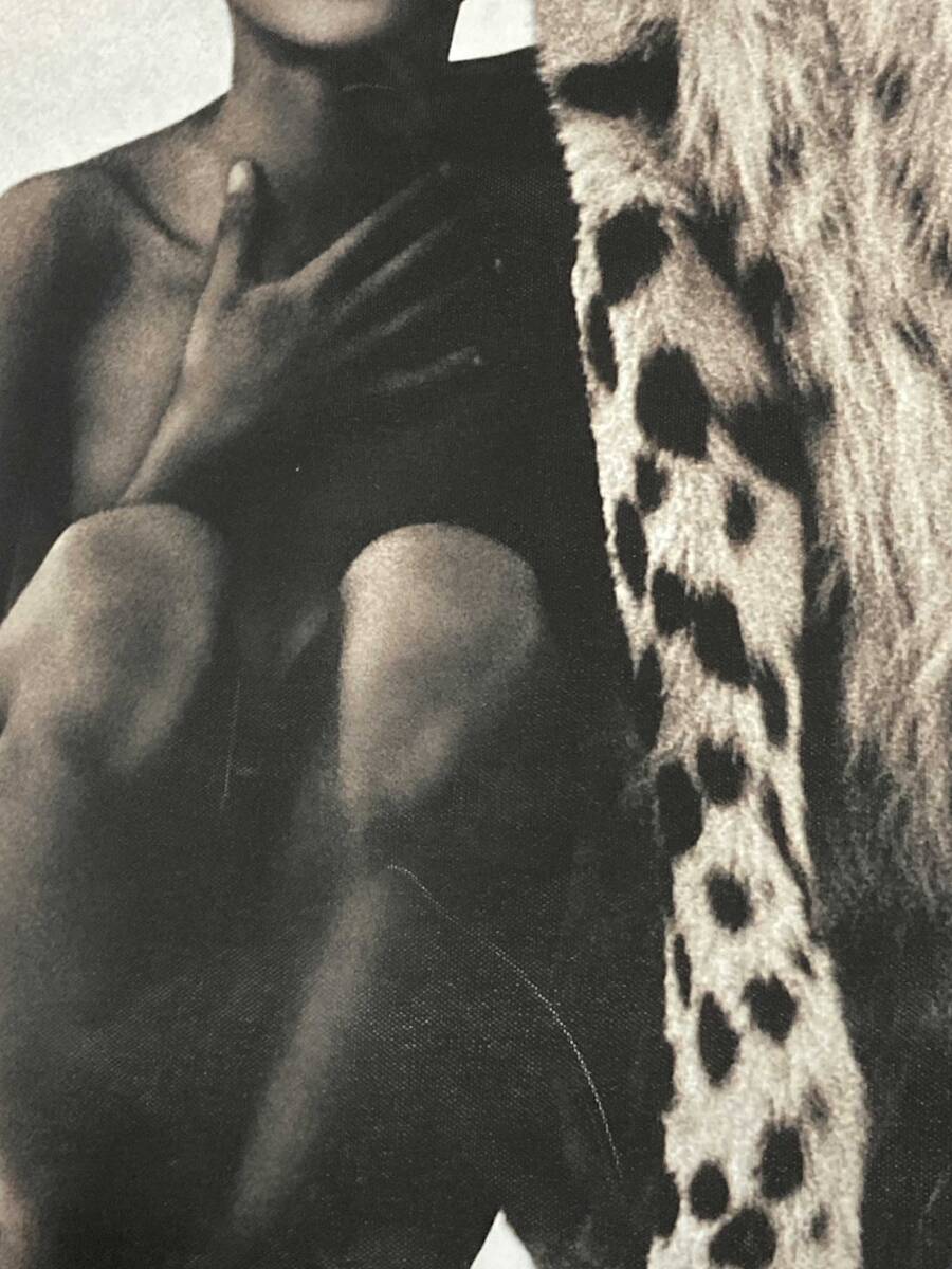 「グレゴリー・コルベール　少年と豹　　布製 ポスター　66×46」 tface-g 【タグ：アート、インテリア】_画像8