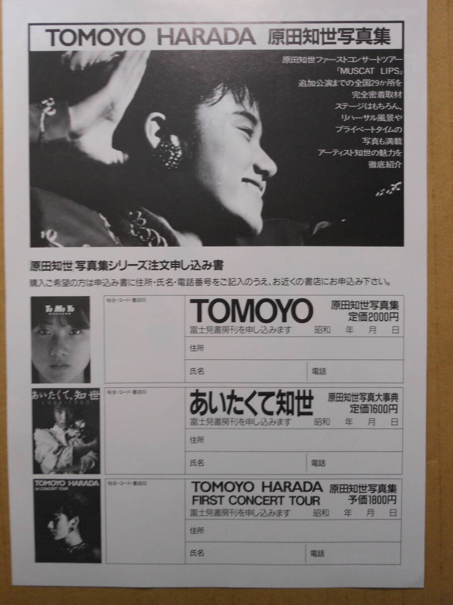 原田知世　「FIRST CONCERT TOUR」B5サイズ予約申込書　1986年　チラシ・リーフレット_画像2