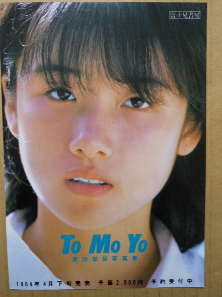 原田知世「To Mo Yo」B6サイズ予約申込書　1984年　チラシ・リーフレット_画像1