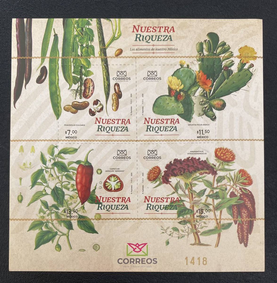 メキシコ メキシコの富　野菜　サボテン　花　植物　小型シート 1種完 未使用 NH_画像1