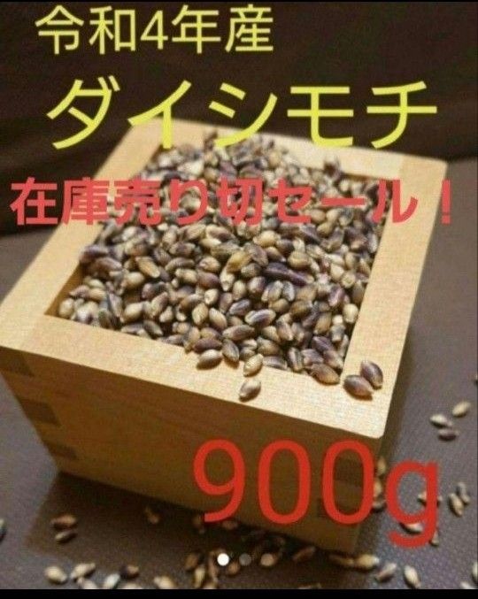 令和4年産 ダイシモチ 玄麦