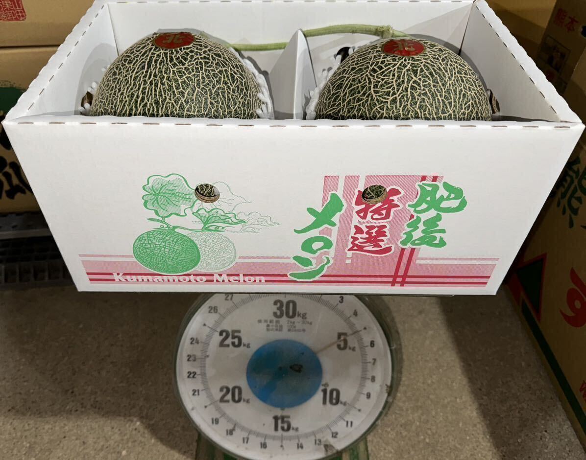 【まる北】熊本産 肥後グリーン【秀品4Lサイズ2玉セット 約4.6k箱込 熊本フルーツ24_画像8