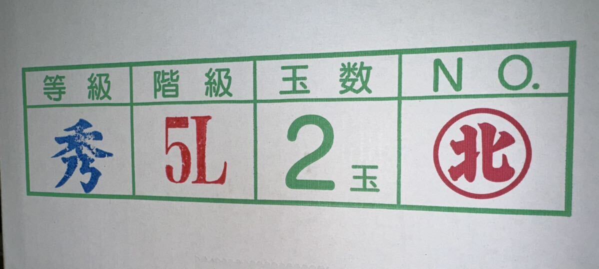 【まる北】熊本産 肥後グリーン【秀品5Lサイズ2玉セット 約5k箱込 熊本フルーツ堂2_画像9