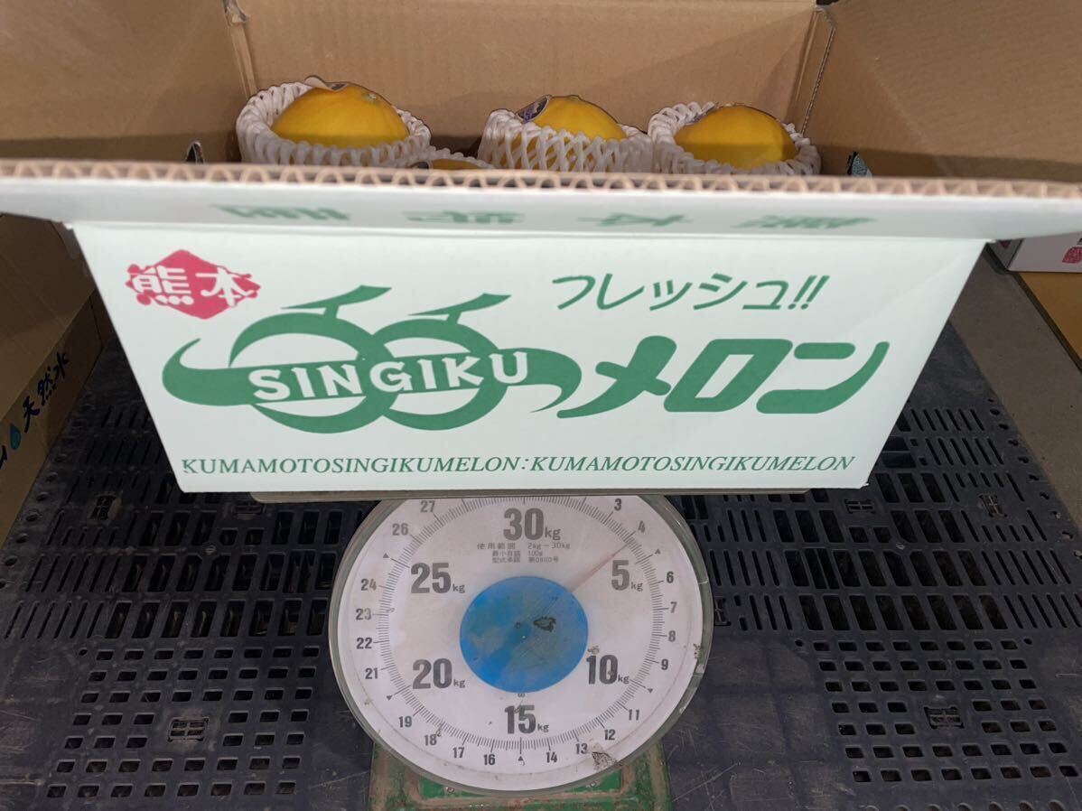  very popular! Kumamoto production yellow King melon [ preeminence goods 6~7 sphere approximately 4.2k box included ] Kumamoto fruit .8