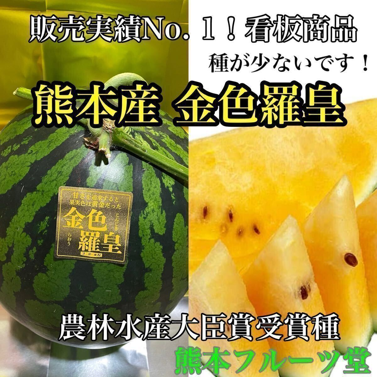 お勧め！熊本産【金色羅皇】秀品4Lサイズ（1玉9〜10kg）熊本フルーツ堂9_画像2