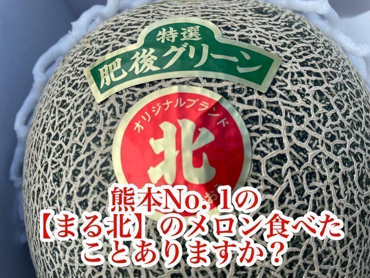 【まる北】熊本産 肥後グリーン【秀品4Lサイズ2玉セット 約4.6k箱込 熊本フルーツ24_画像2