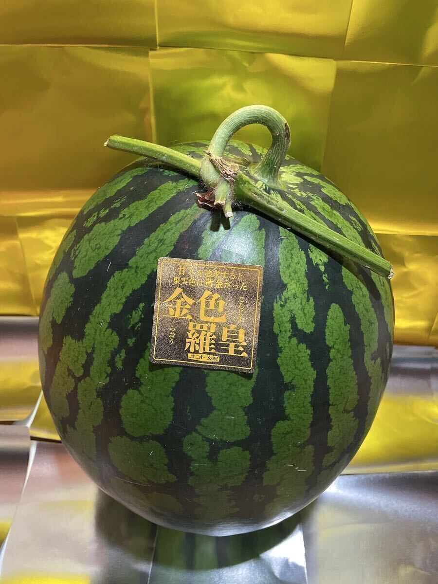 お勧め！熊本産【金色羅皇】優品2Lサイズ（1玉7〜8kg）熊本フルーツ堂8_画像8