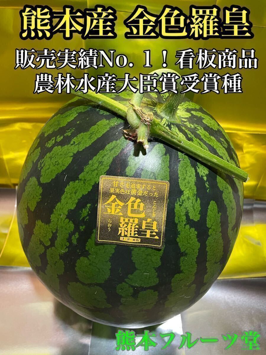 お勧め！熊本産【金色羅皇】秀品4Lサイズ（1玉9〜10kg）熊本フルーツ堂9_画像3