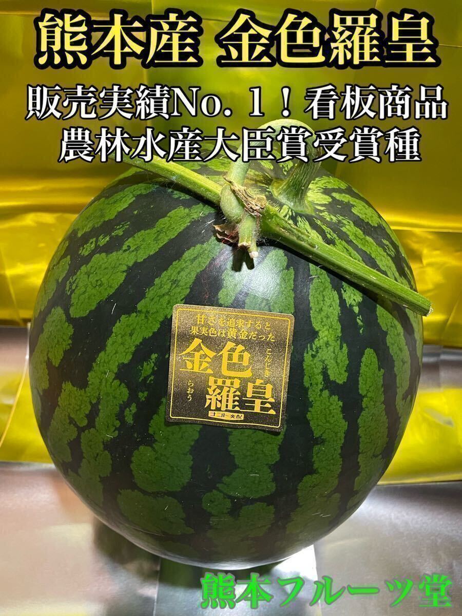 お勧め！熊本産【金色羅皇】優品3Lサイズ（1玉8〜9kg）熊本フルーツ堂14_画像3