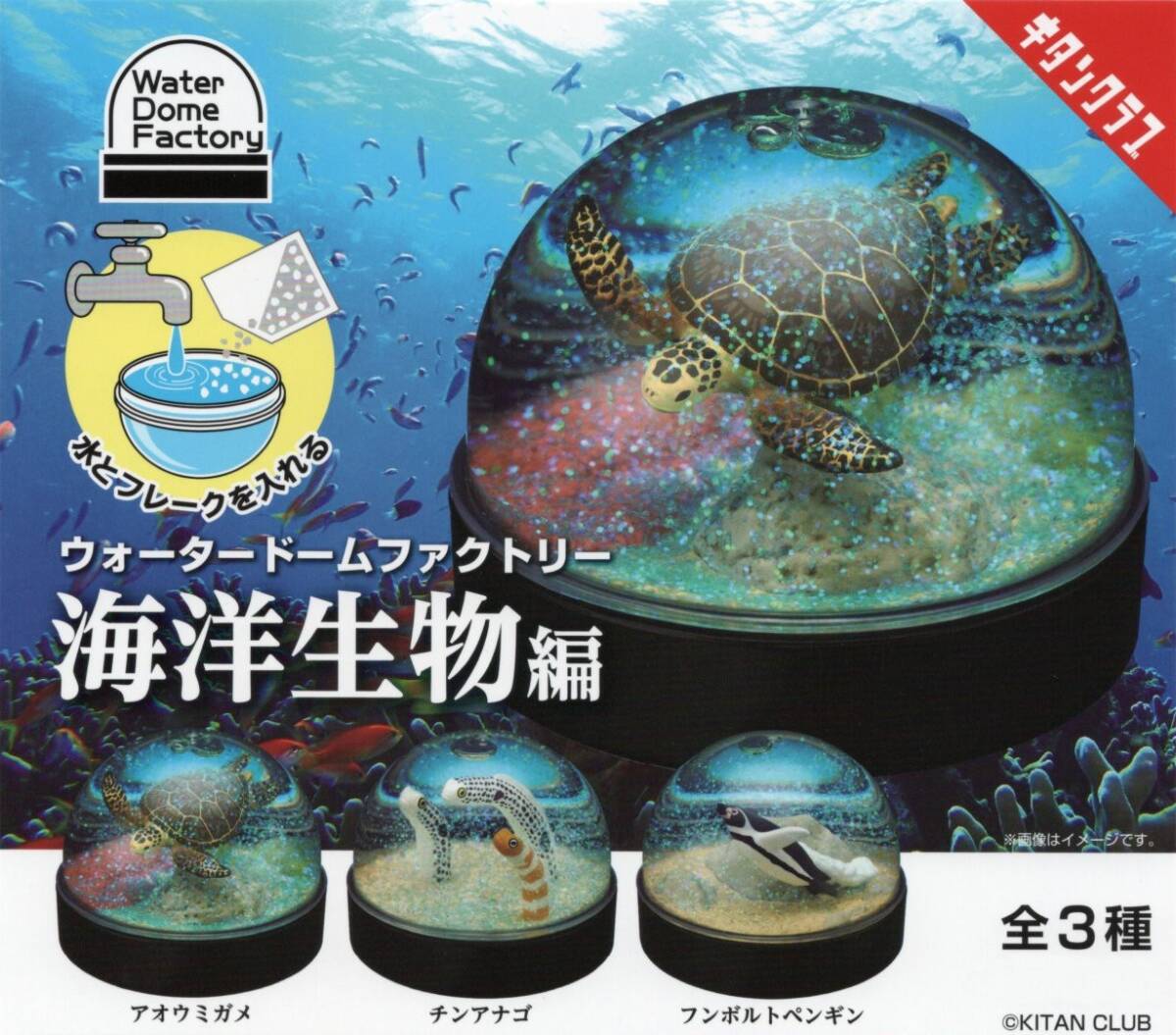 V-0 ( prompt decision ) Gacha Gacha water dome Factory ~ sea . living thing compilation ~ ( all 3 kind set )