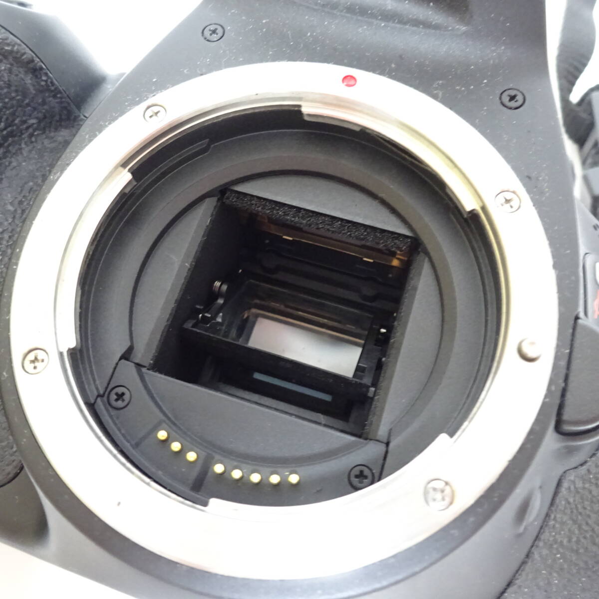 キャノン kiss X5 デジタル一眼カメラ 10-18mm 18-55mm レンズ アクセサリーおまとめセット 通電確認済 80サイズ発送 KK-2681853-283-mrrzの画像3