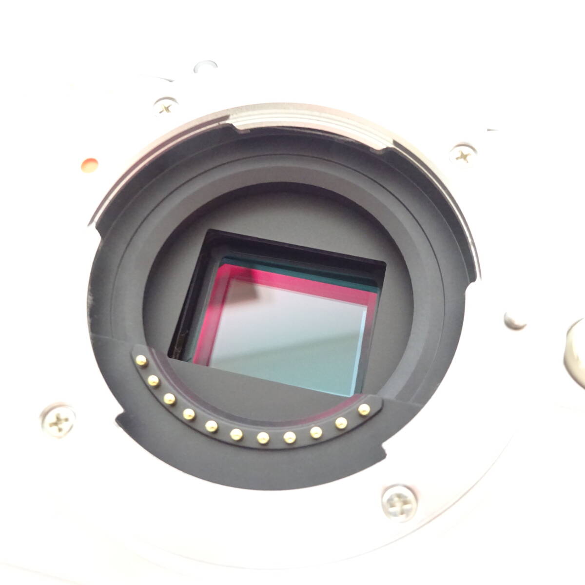 オリンパス PEN E-PL10 デジタルカメラ レンズアクセサリーおまとめセット OLYMPUS 通電確認済 80サイズ発送 KK-2629977-098-mrrzの画像3