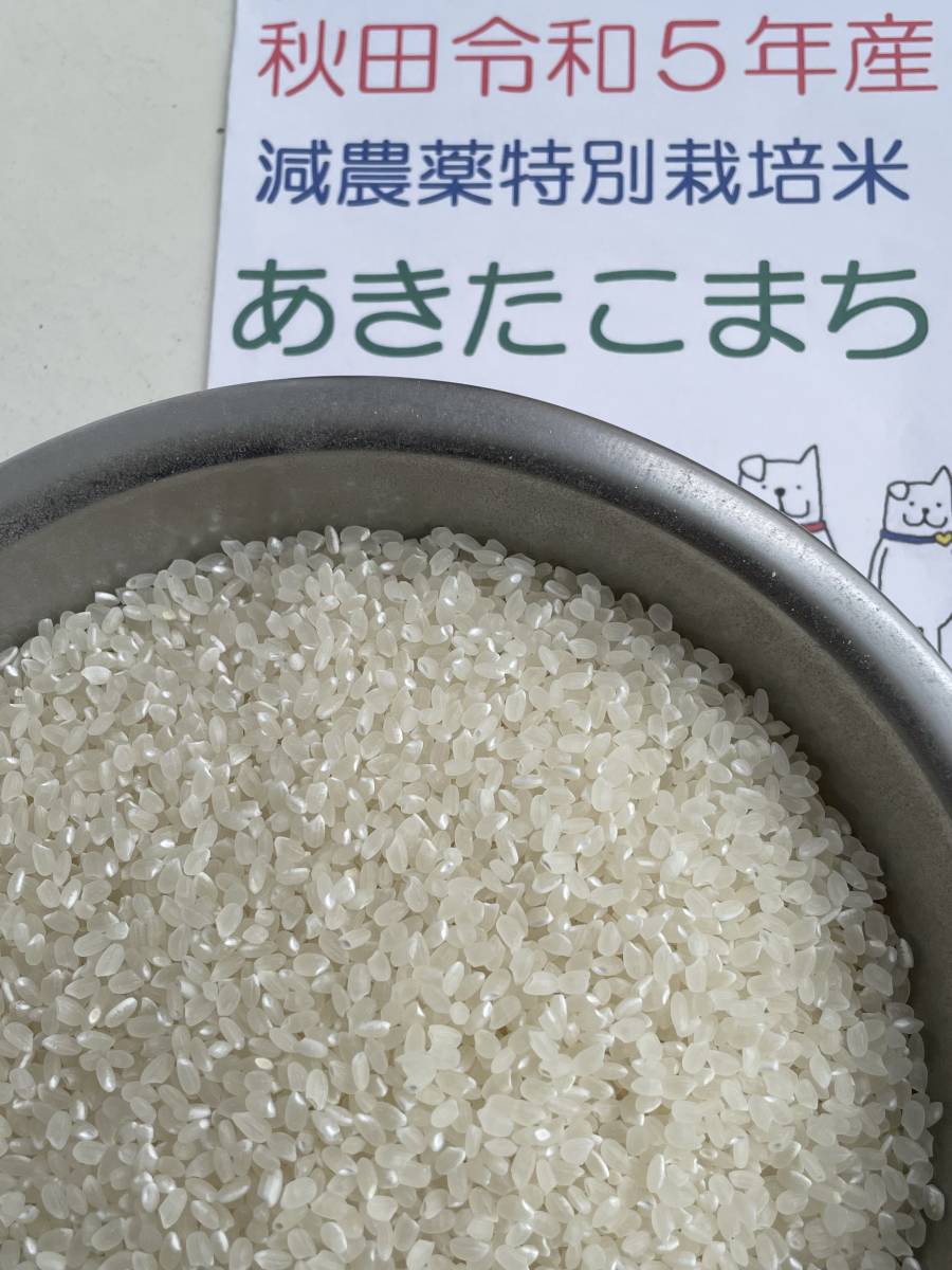 25kg令和5年秋田県大潟村産あきたこまち 検査米１等 精米（白米）２５キロ(10.05ｋｇ×２,5.05ｋｇ)送料無料(北海道沖縄除く)☆特別栽培米の画像5