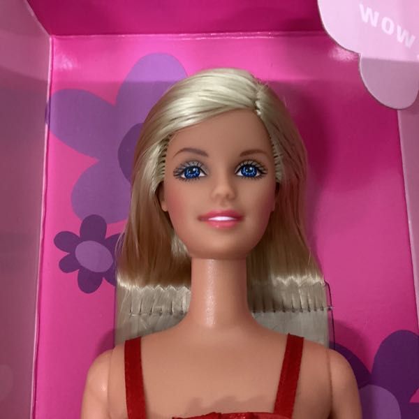 1 иен ~ Mattel Barbie Barbie party fete fiesta