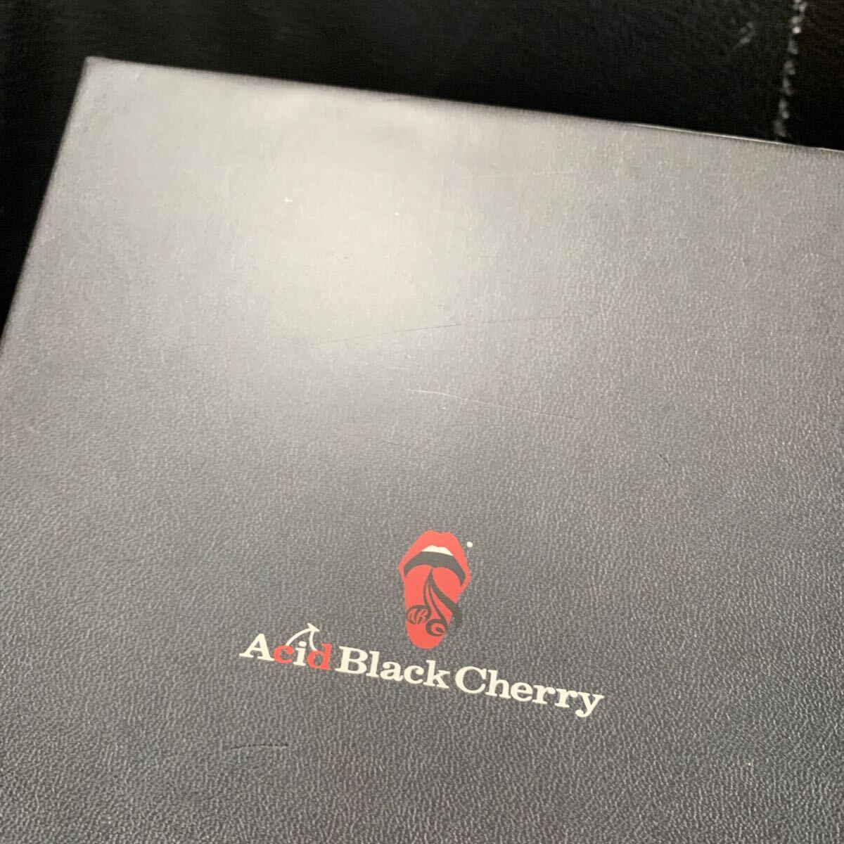 Acid Black Cherry DVD 10th Anniversary Live History -BEST-_画像4