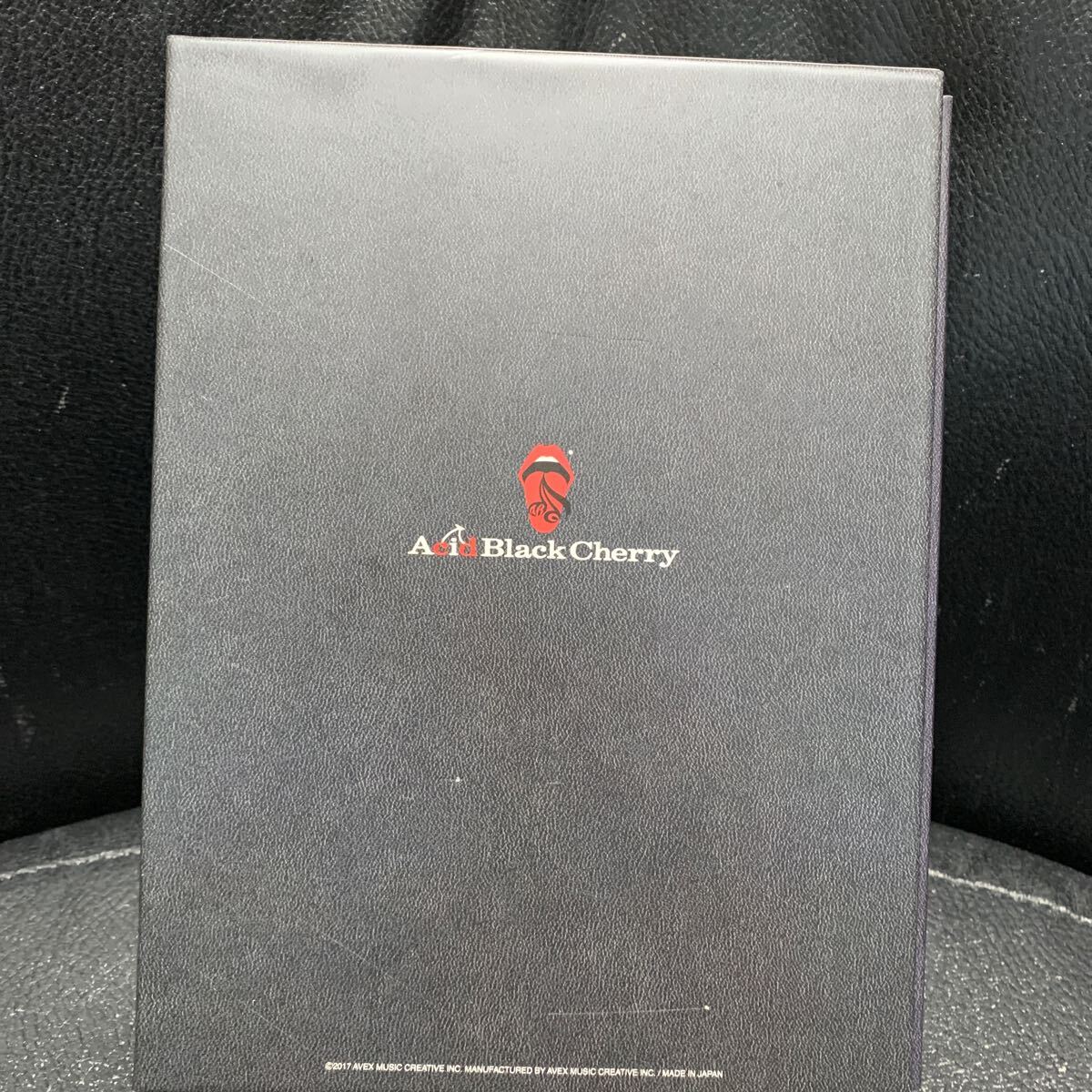 Acid Black Cherry DVD 10th Anniversary Live History -BEST-_画像2
