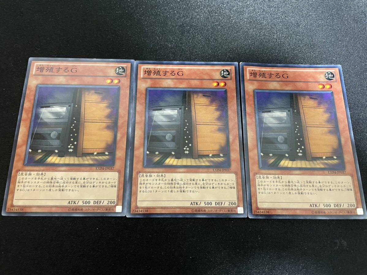 高評価なギフト 遊戯王 増殖するG 3枚セット ノーマルレア EXP4 高評価なギフト 遊戯王 増殖するG 3枚セット ノーマルレア EXP4