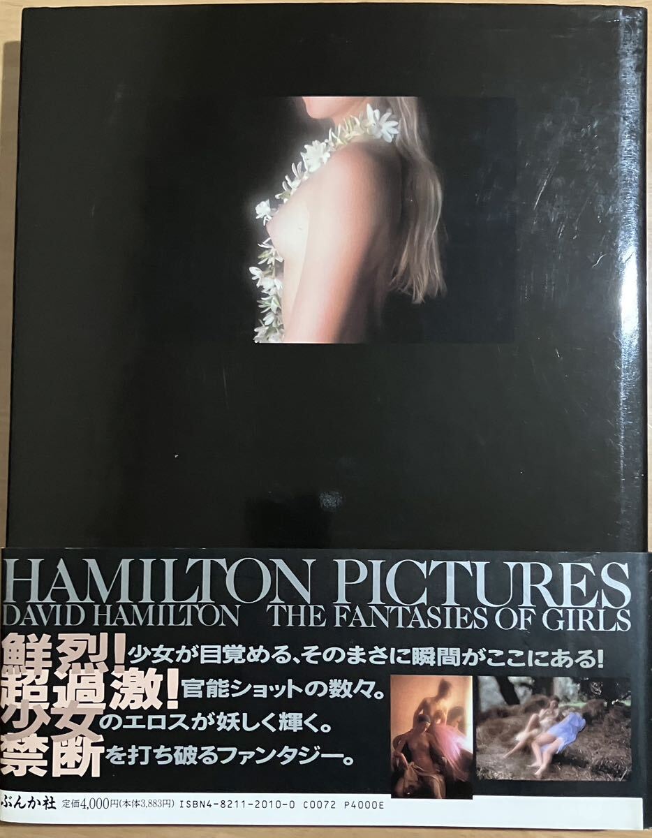 HAMILTON PICTURES の画像3