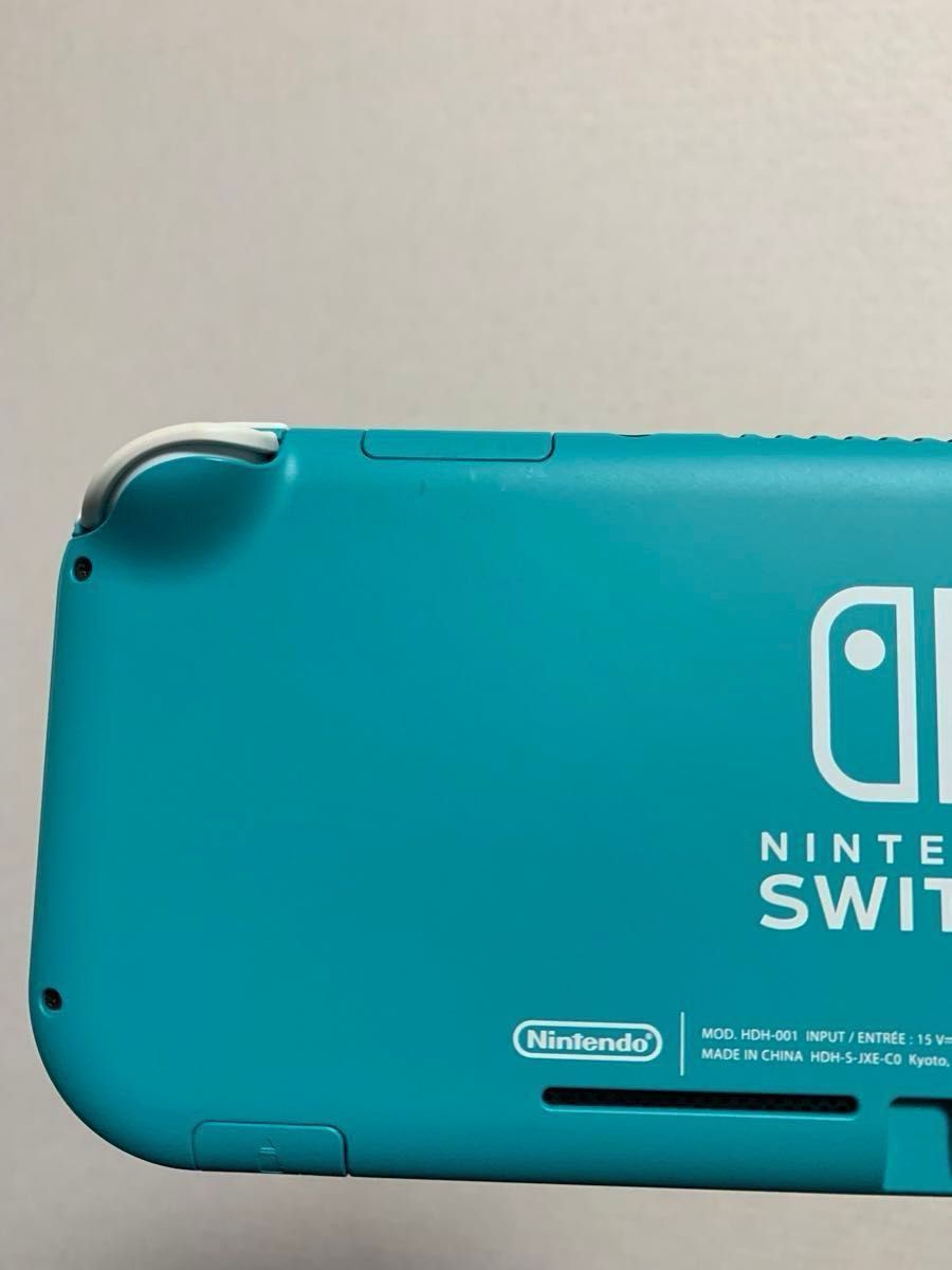 Switchライト本体 ターコイズ おまけキャリングケース付き♪