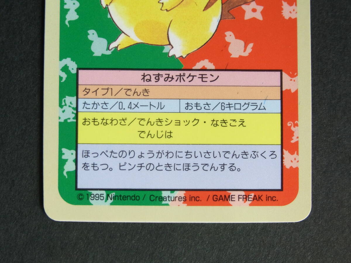  Pokemon card Pikachu top sun * chewing gum. extra ( blue back s* blue reverse side ) number less 