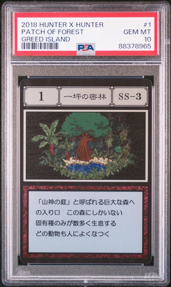 PSA10 No 1 SS-3 一坪の密林 HUNTER × HUNTER ハンター ハンター PSA10 No 1 SS-3 一坪の密林 HUNTER × HUNTER ハンター ハンター