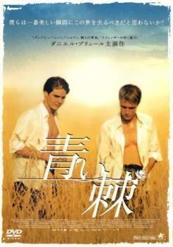 青い棘 レンタル落ち 中古 DVD ケース無_画像1