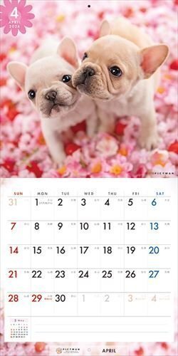フレンチ・ブルドッグ PICTWAN (ピクトワン) カレンダー DOG 【S版】 2024年カレンダー24CL-50037S_画像8