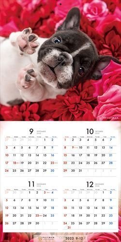 フレンチ・ブルドッグ PICTWAN (ピクトワン) カレンダー DOG 【S版】 2024年カレンダー24CL-50037S_画像4