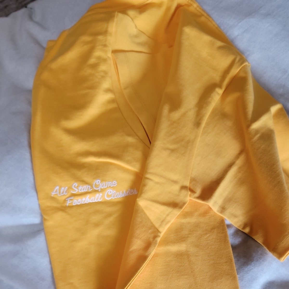 AVIREX   半袖 Tシャツ 黄色 2XL バックプリント 新品未使用品 