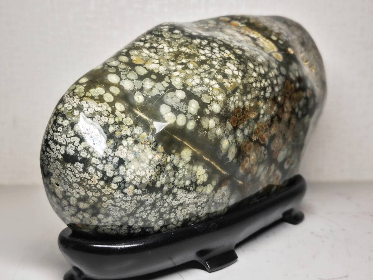 白黄梅】 4 4kg 梅花石 紋石 花紋石 菊花石 孔雀石 原石 鑑賞石 白黄梅】 4 4kg 梅花石 紋石 花紋石 菊花石 孔雀石 原石 鑑賞石
