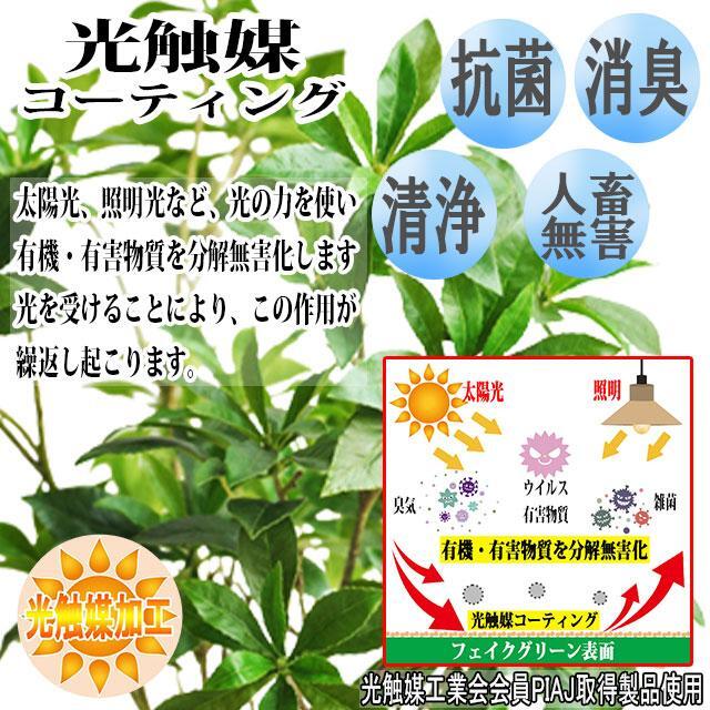 【在庫処分】フェイクグリーン 人工観葉植物 人工植物 光触媒 卓上 鉢付き インテリア 観葉植物 送料無料【A01-1】