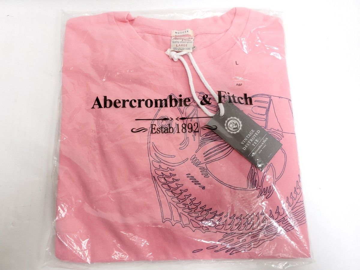 未使用品 タグ付き アバクロ アバクロンビー&フィッチ Tシャツ メンズ L Abercrombie & Fitch 