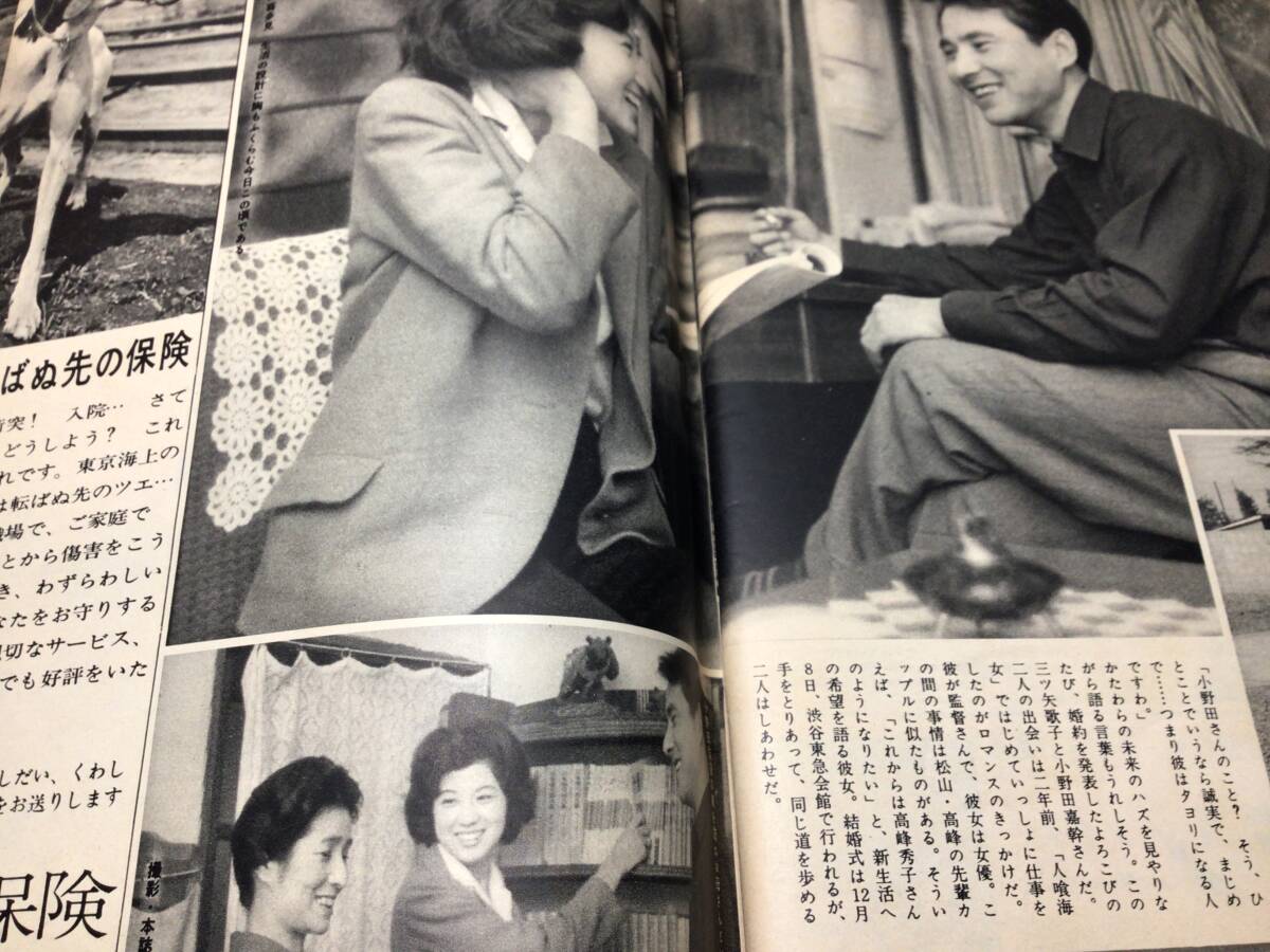 週刊明星 昭和35年 1960/11/6/No.４４中山千夏 市川染五郎 石原裕次郎 北原三枝 山本富士子 朝丘雪路　太陽ホエールズ優勝_画像9