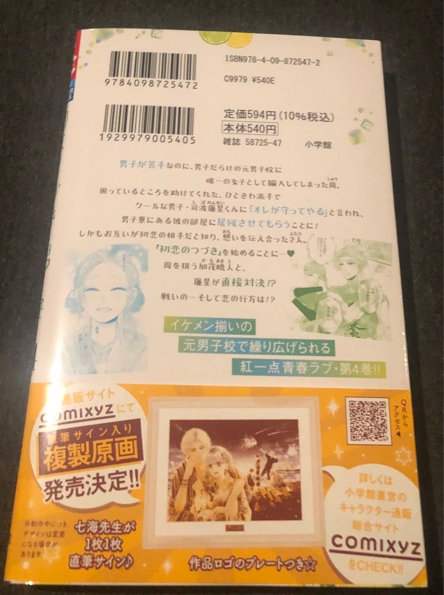 最新刊帯付き、初恋のつづきは男子寮で、4巻、七海月、フラワーコミックス、タブって購入の為、当方未読