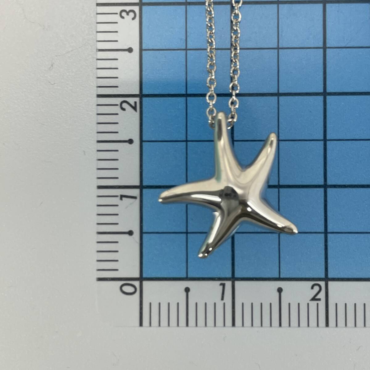 ティファニー スターフィッシュ ネックレス シルバー Tiffany&Co ティファニー スターフィッシュ ネックレス シルバー Tiffany&Co