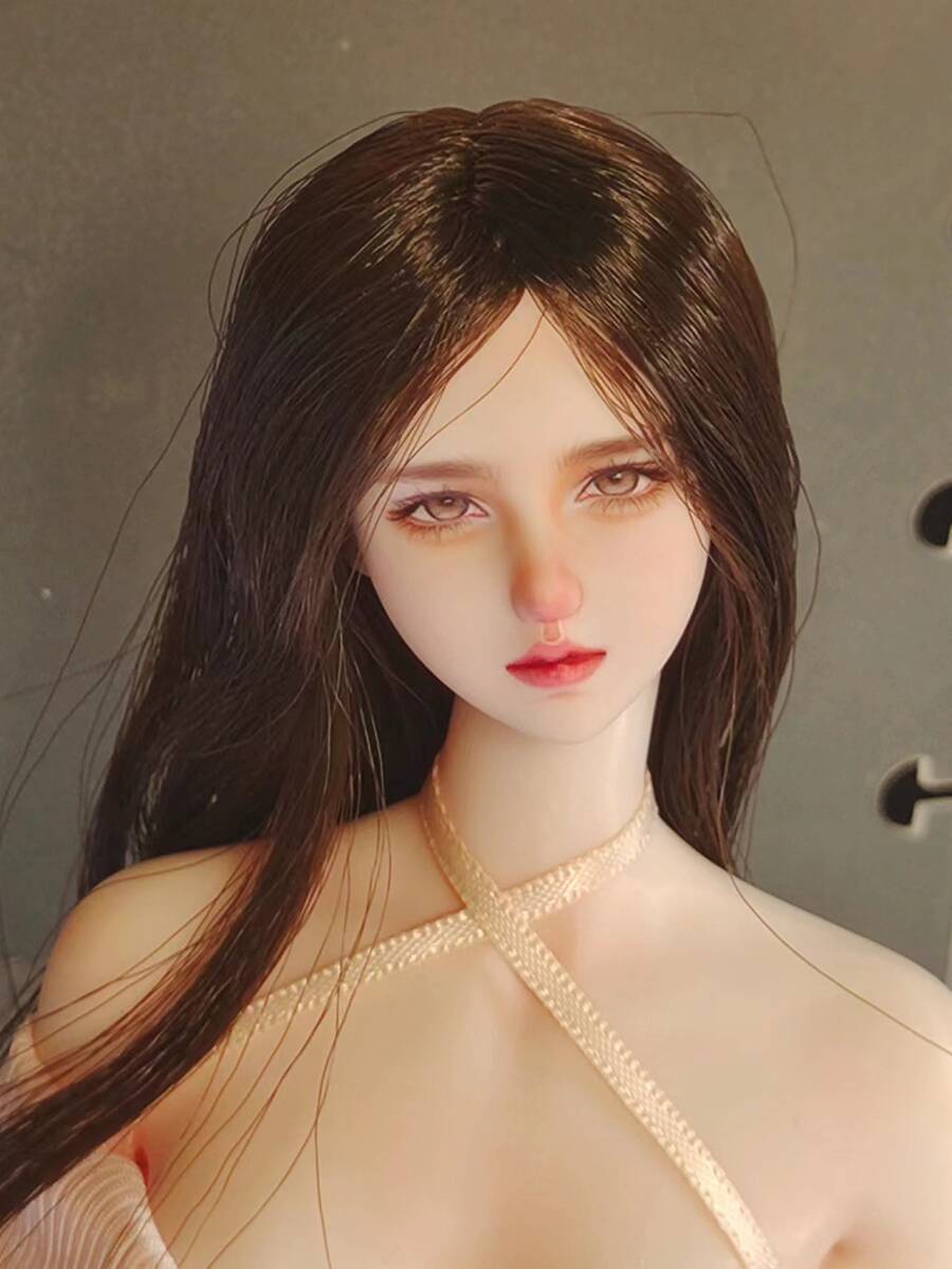 ドール ヘッド 1/6 サイズ 精密 フィギュア ハンドメイド ドール ヘッド 1/6 サイズ 精密 フィギュア ハンドメイド
