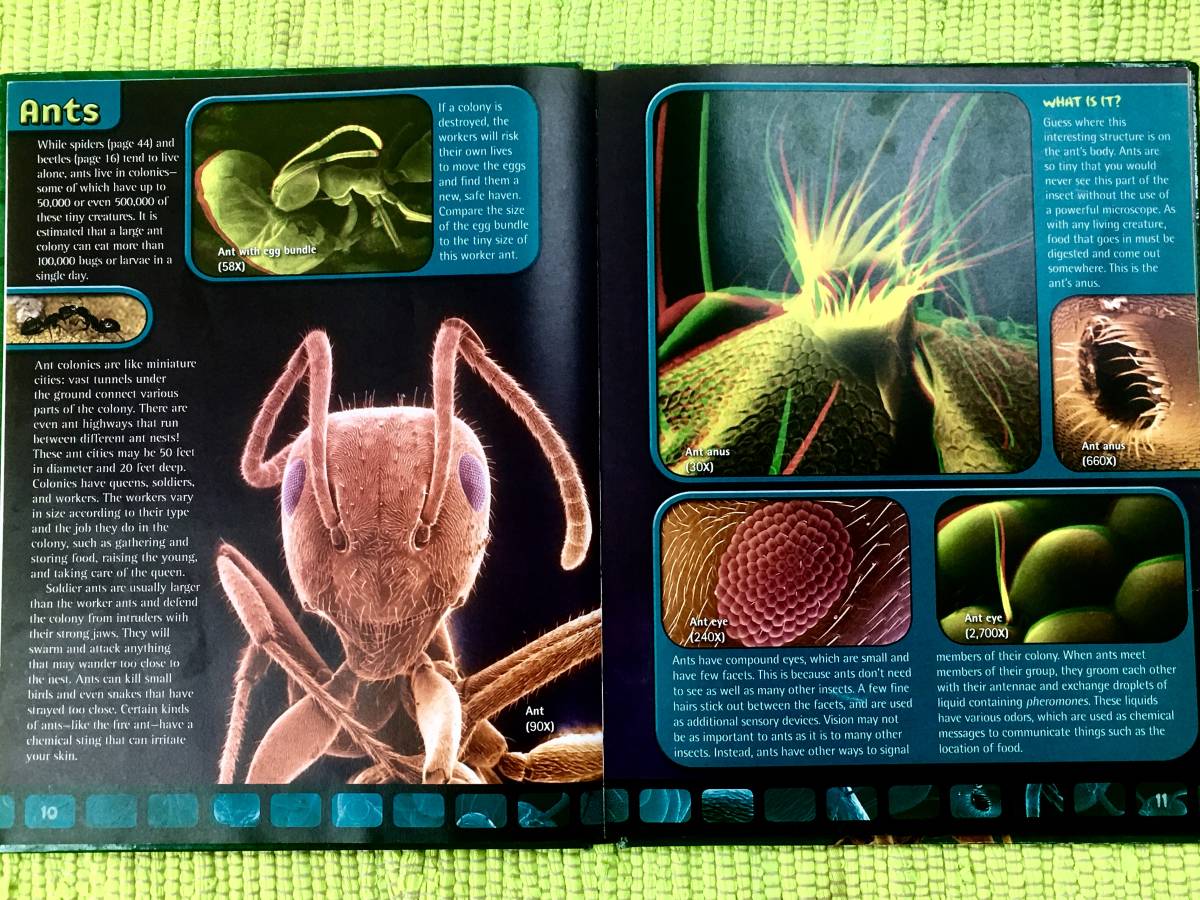  иностранная книга America производства 3D очки имеется! насекомое. английская версия жесткий чехол книга@Extreme 3D Scary Bugs!