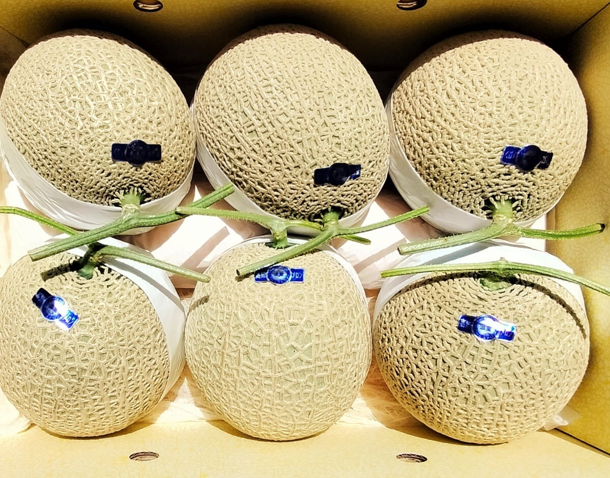 * Kochi production * mask melon 6 sphere entering * approximately 10,0Kg beautiful goods 