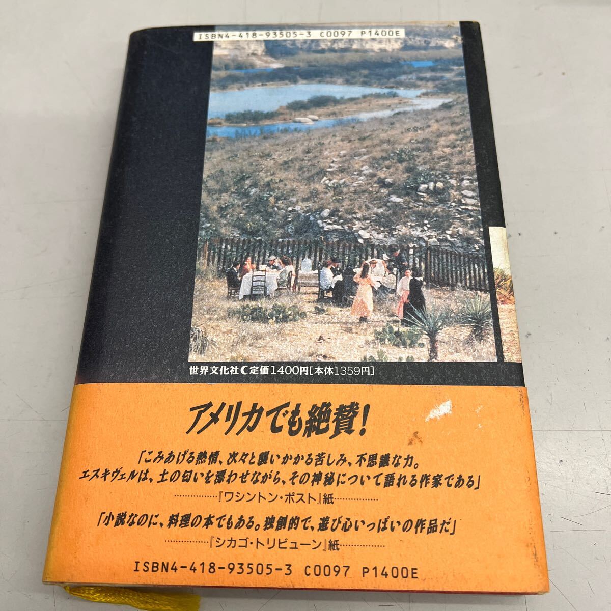 赤い薔薇ソースの伝説　単行本　ラウラ・エスキヴェル/西村英一郎:訳　世界文化社　1993年7月初版第3刷発行、カバー少々劣化あり、_画像2