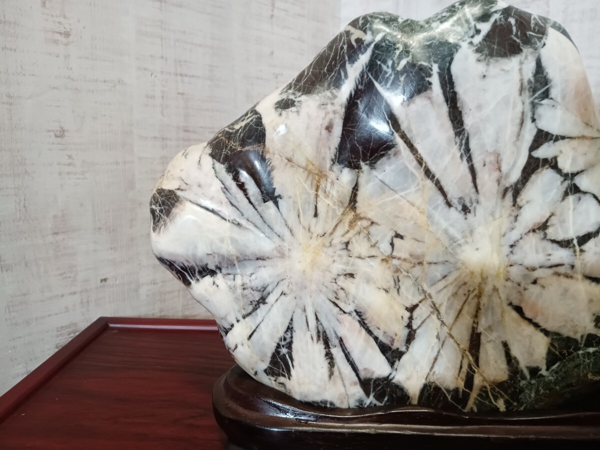  worth seeing!! chrysanthemum stone 7Kg appreciation stone raw ore mineral stone appreciation stone .. stone mineral decoration stone ornament objet d'art collection Junk 