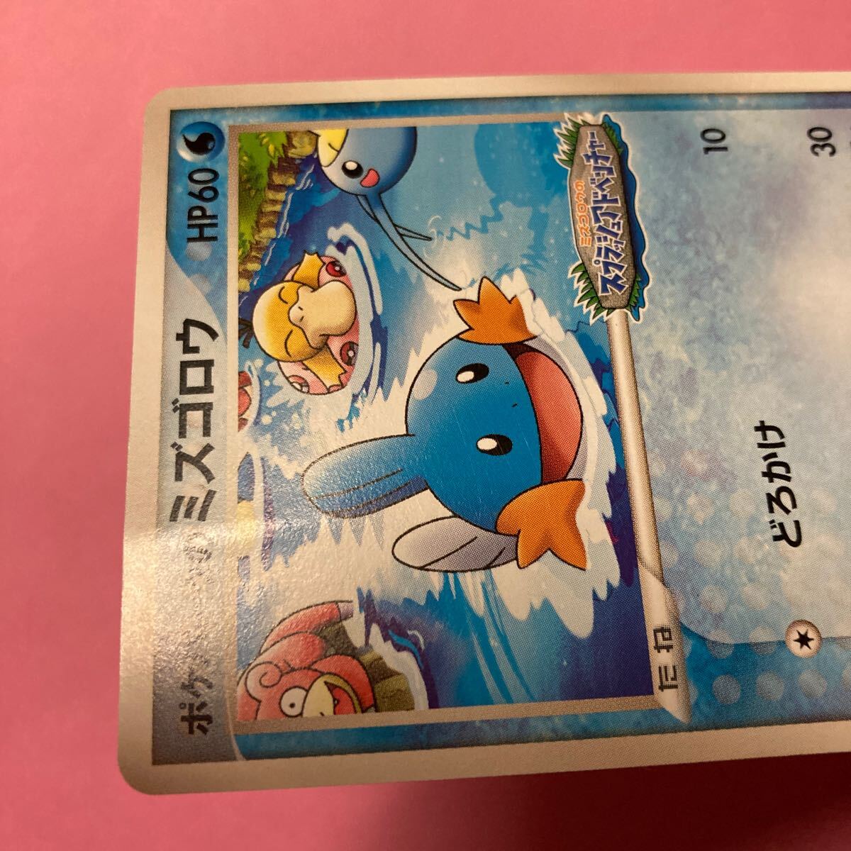◎【ポケモンカードゲーム/ポケモンパーク<ミズゴロウの ◎【ポケモンカードゲーム/ポケモンパーク<ミズゴロウの