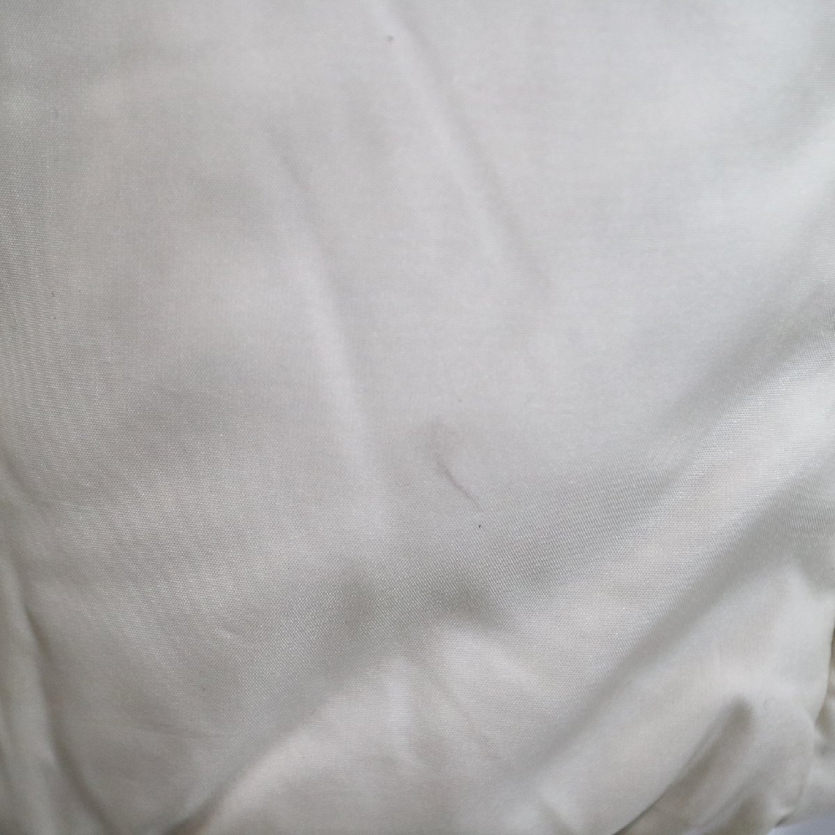 THE NORTH FACE ノースフェイス ダウンジャケット アウトドア ウィンターウェア ホワイト ( レディース L ) M4017 1円スタートの画像6