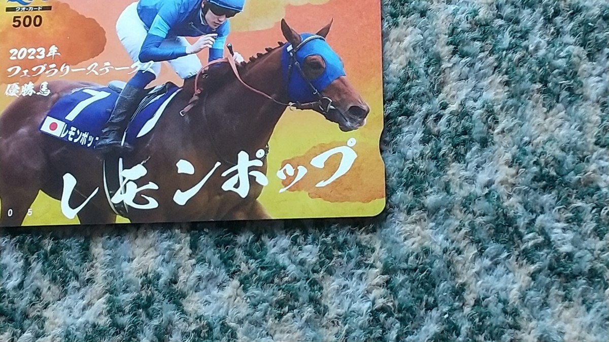  horse racing lemon pop Lemon Pop 2023 year febla lease te-ks victory horse QUO card QUO card 500 [ free shipping ]