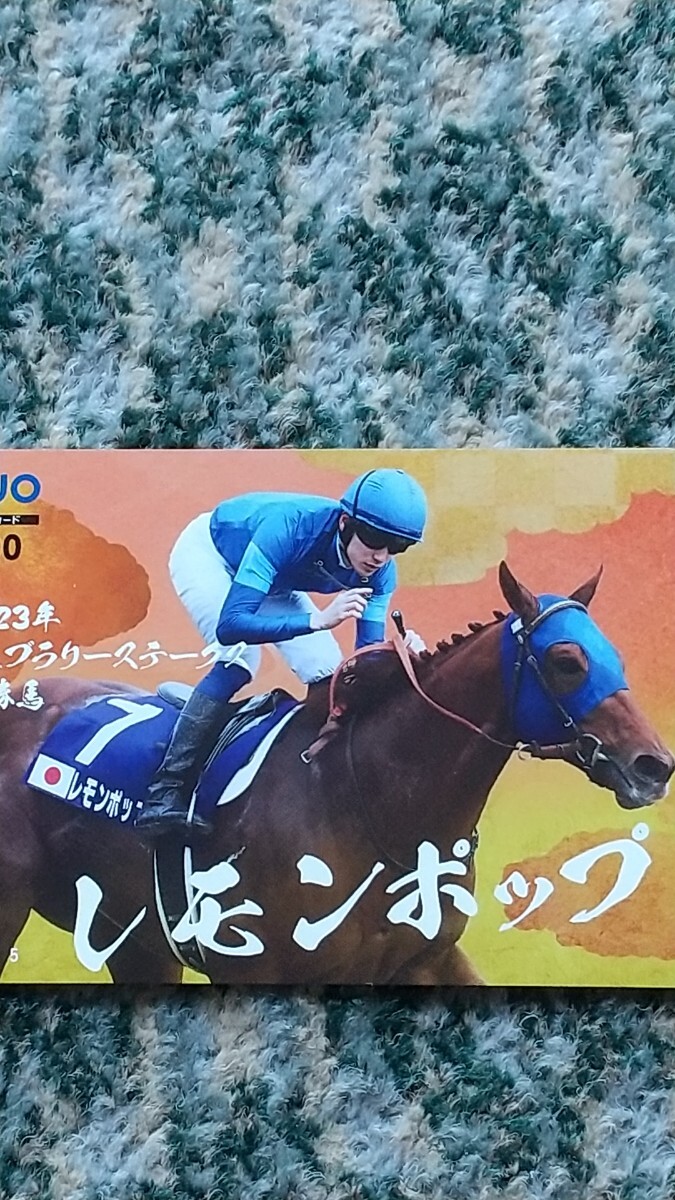  horse racing lemon pop Lemon Pop 2023 year febla lease te-ks victory horse QUO card QUO card 500 [ free shipping ]