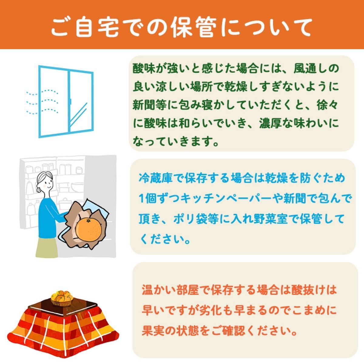 河内晩柑　家庭用8kg愛媛県産　訳あり　送料無料柑橘　みかん和製グレープフルーツ　農家直送　皮むき器ムッキーちゃんプレゼント　