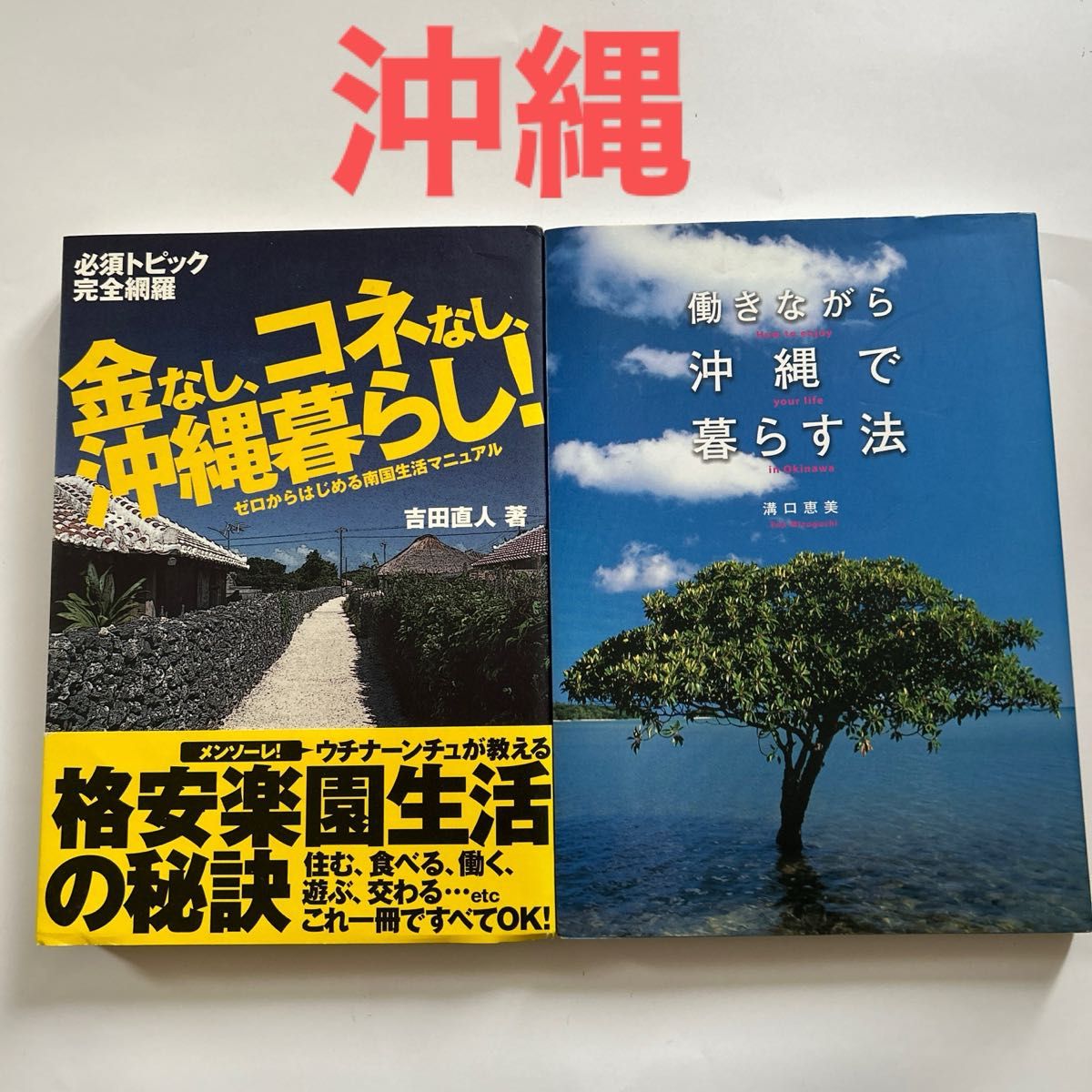 金なし、コネなし、沖縄暮らし！　ゼロからはじめる南国生活マニュアル　必須トピック完全網羅 吉田直人／著　他１冊