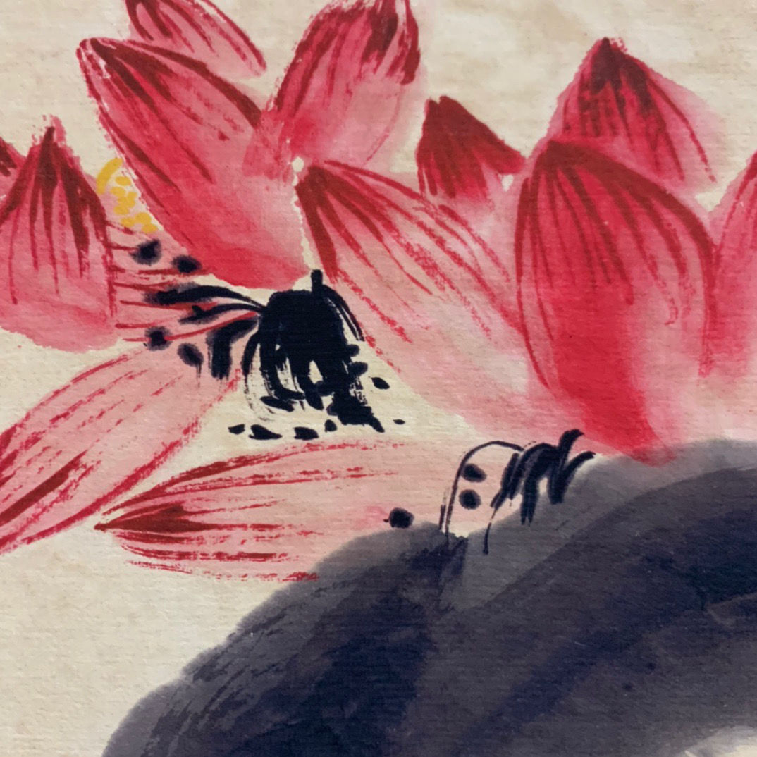 清物 斉白石手絵 花図全冊 共箱 - 画集 清物 斉白石手絵 花図全冊 共箱 - 画集