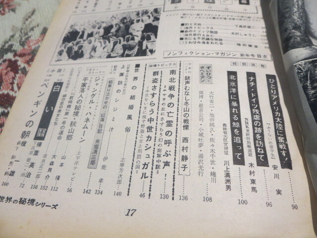 雑誌　世界の秘境シリーズ　第１０集新年号　謎の国回教世界を探る／田辺茂一　庄司浅水　白川竜彦　野村愛正　檀一雄　榛葉英治　南洋一郎_画像6